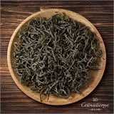 Сочные листья 10081