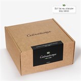 Черная смородина 10093